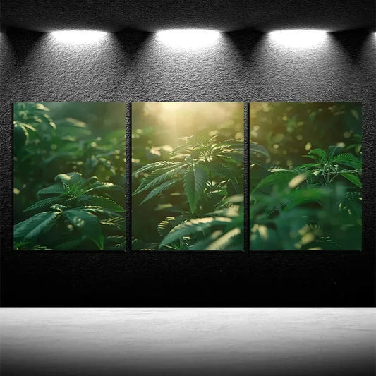 3pcs Vibrant Sun in Weed Illustration Metal Print Ready to Hang Art