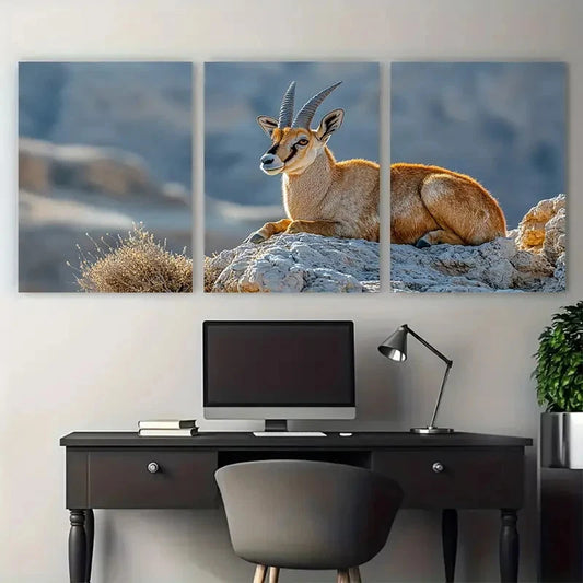 3pcs Nubian Ibex on Makhtesh Ramon Cliffs Wildlife Metal Print Ready to Hang Art