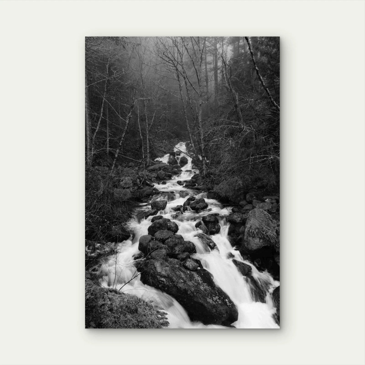 River In Forest Rocky Terrain 40x60cm Metal Print Ready to Hang