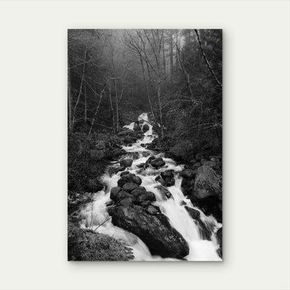 River In Forest Rocky Terrain 40x60cm Metal Print Ready to Hang