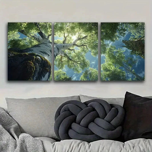 3pcs The View From Inside An Ancient Tree Metal Print Ready to Hang Art