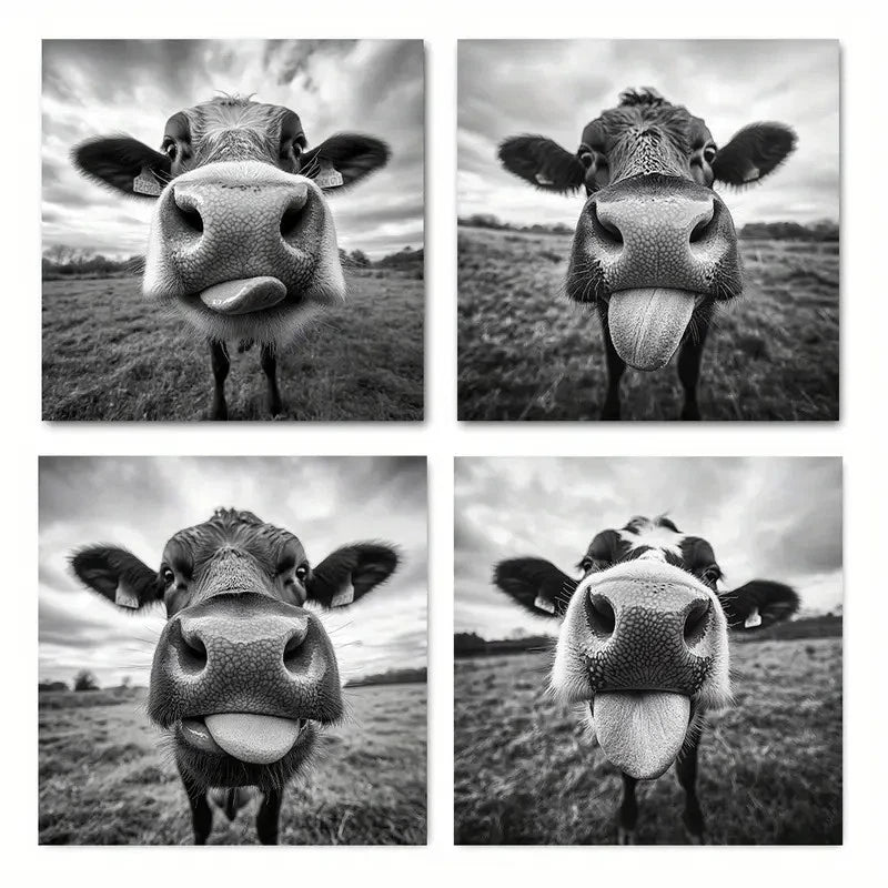 4pcs- Black & White Highland CattleWall Art Canvas Framed