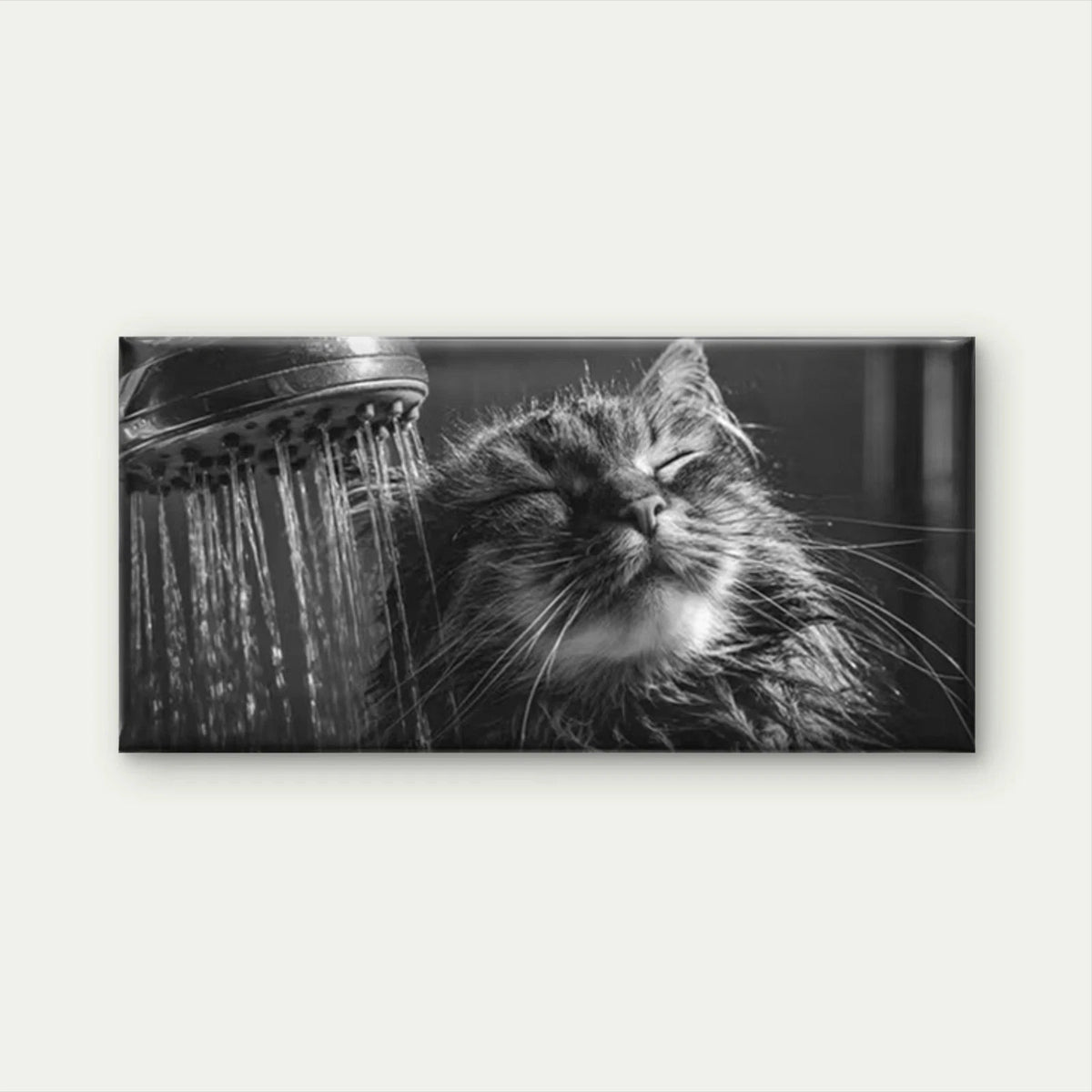 Bathing Tabby Cat Wall Art Canvas Office Home Room Framed 120x60cm