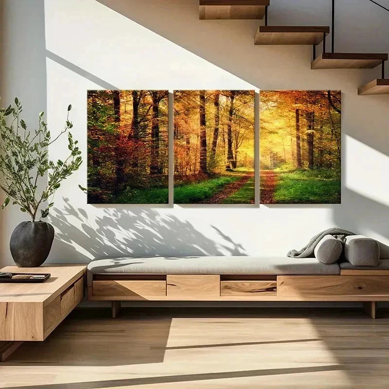 3pcs Forest Woods at Sunshine Natural Wall Art Set Canvas Framed 40x60cm - High Quality Print 100% Australian Made Wall Canvas Ready to Hang