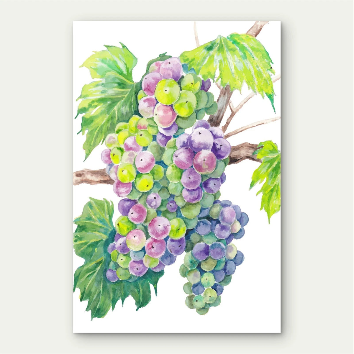 Lush Watercolour Grape Cluster and Vine 40x60cm Metal Print Ready to Hang