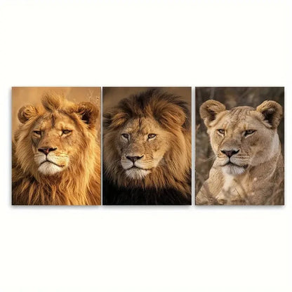 3pcs Lion Botswana African Photography, Safari Wall Art Set Canvas Framed 50x70cm - High Quality Print 100% Australian Made Wall Canvas Ready to Hang