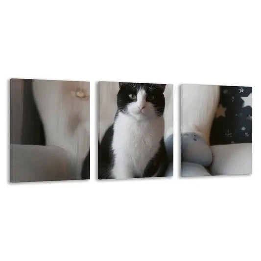 3pcs Modern Black and White Cat Painting   Wall Art Set Canvas Framed 60x90cm - High Quality Print 100% Australian Made Wall Canvas Ready to Hang