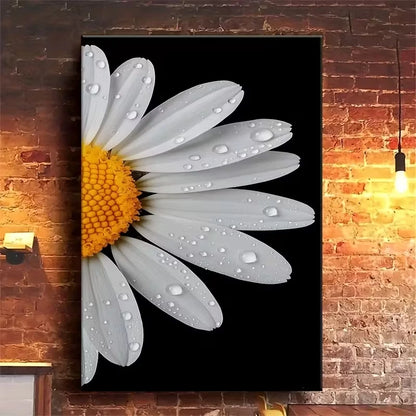 White Daisies with Water Droplets 60x90cm Metal Print Ready to Hang