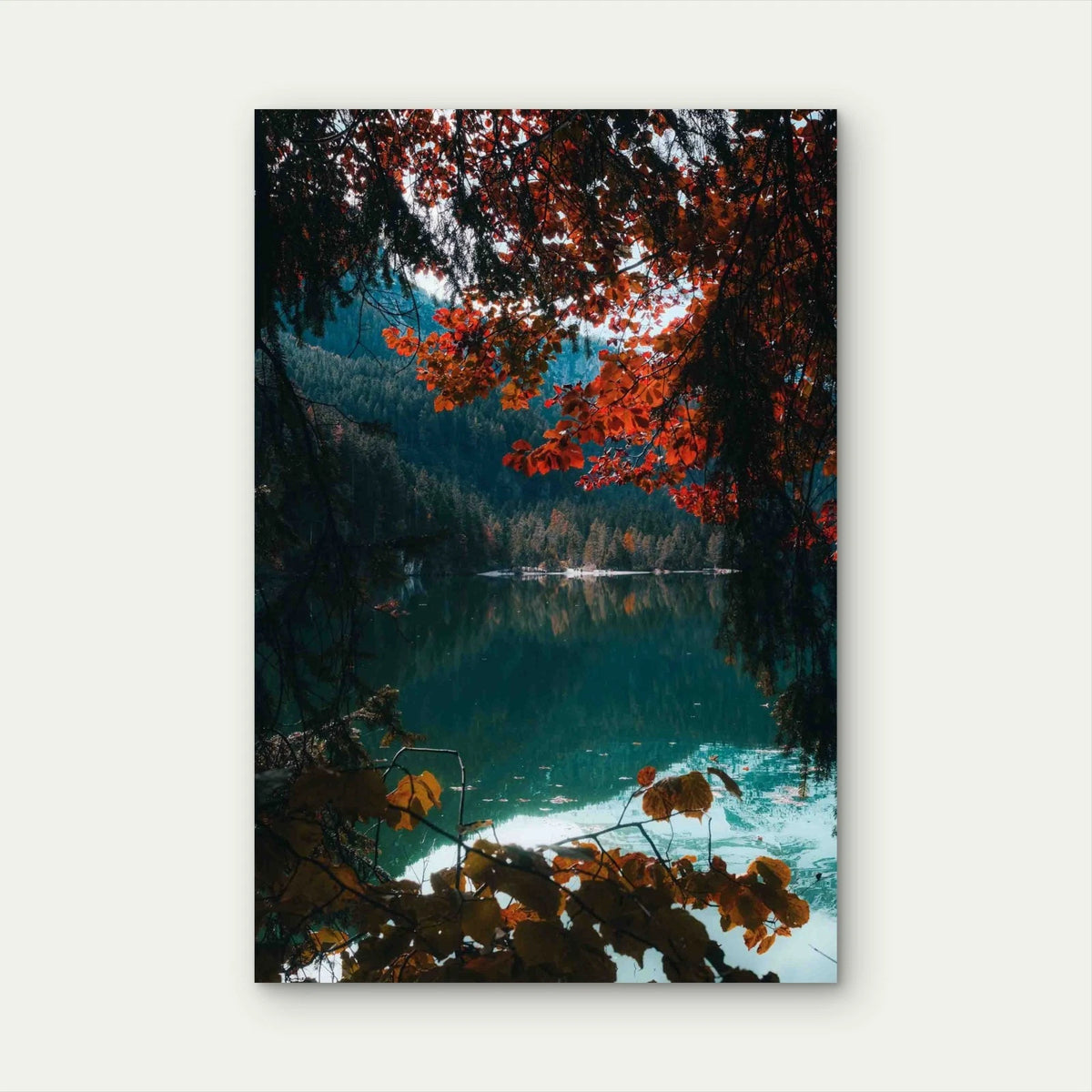 Brown Green Trees Beside River Daytime 60x90cm Metal Print Ready to Hang