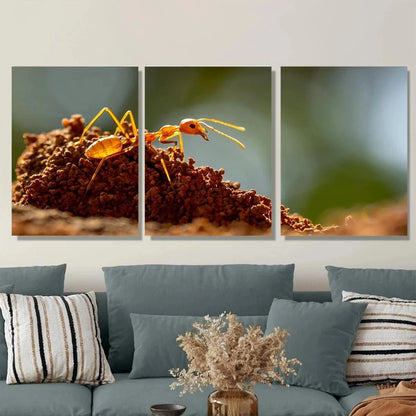3pcs Vibrant Orange Ants on Mound Metal Print Ready to Hang Art