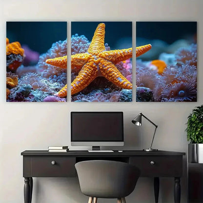 3pcs Fromia Elegans Starfish Coral Reef Sea Metal Print Ready to Hang Art