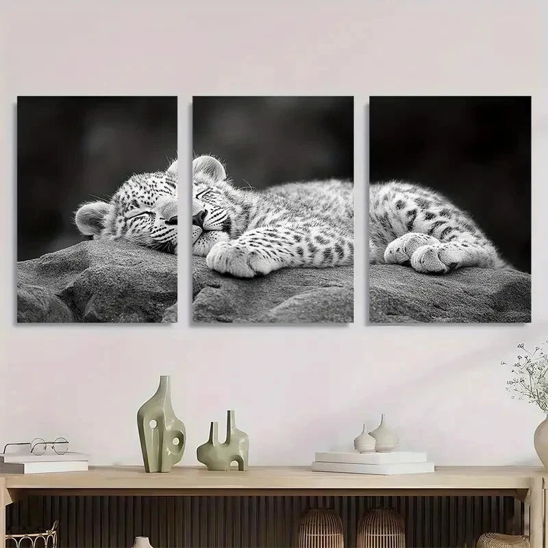 3pcs Black & White Leopard Cub Sleeping Metal Print Ready to Hang Art