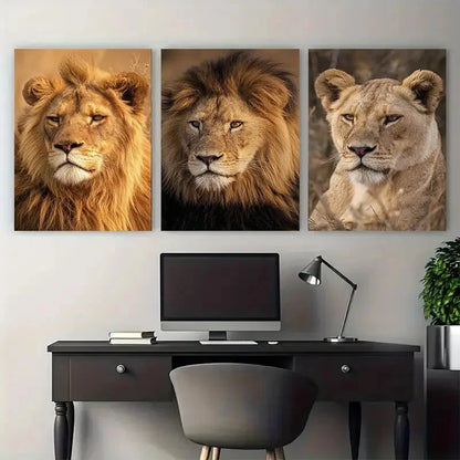 3pcs Lion Botswana African Photography, Safari Wall Art Set Canvas Framed 50x70cm - High Quality Print 100% Australian Made Wall Canvas Ready to Hang