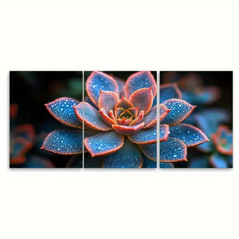 3pcs Vibrant Abstract Succulent Floral Photo Wall Art Set Canvas Framed 40x60cm - High Quality Print 100% Australian Made Wall Canvas Ready to Hang