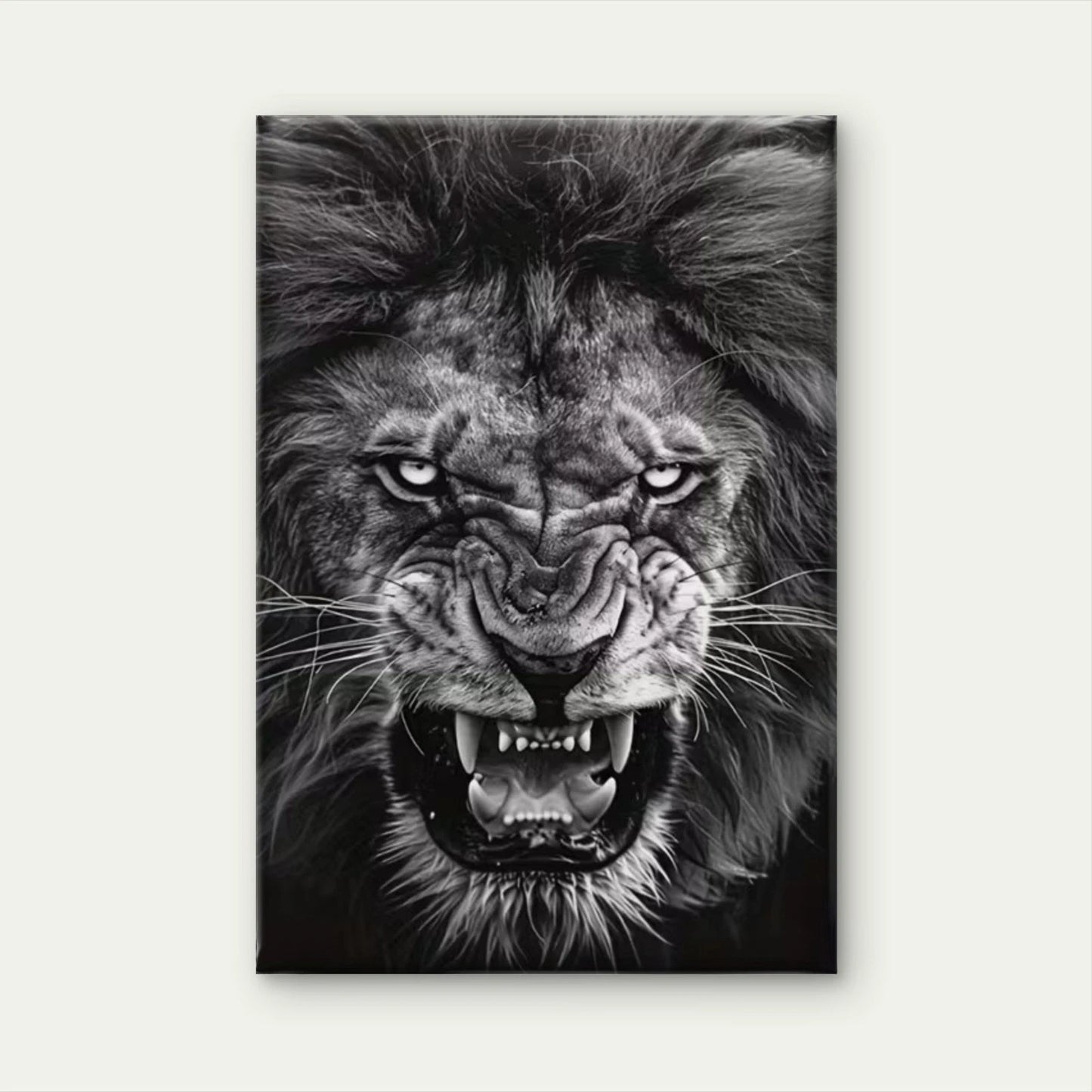 Fierce Black & White Lion Gaze 60x90cm Metal Print Ready to Hang