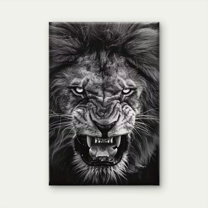 Fierce Black & White Lion Gaze 60x90cm Metal Print Ready to Hang