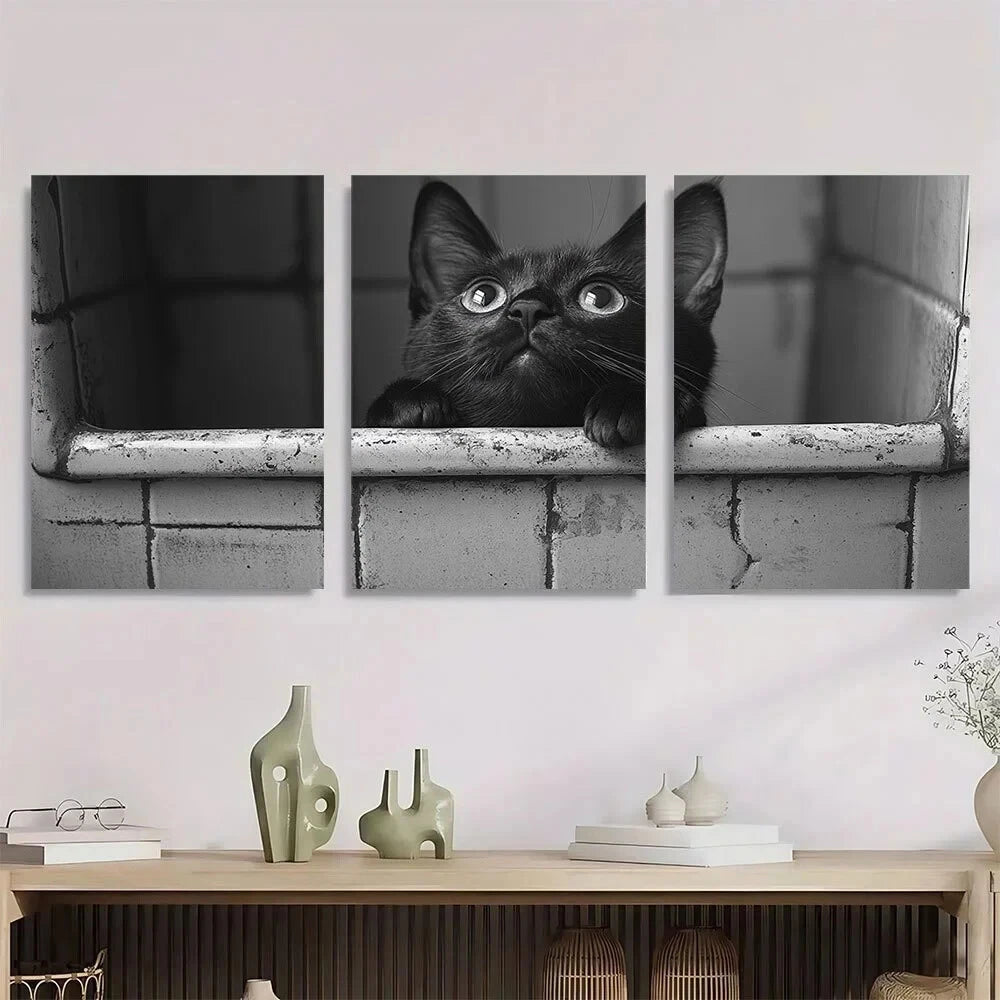 3pcs Vintage Humorous Black & White Cat Metal Print Ready to Hang Art