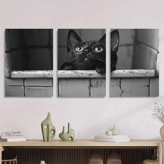 3pcs Vintage Humorous Black & White Cat Metal Print Ready to Hang Art
