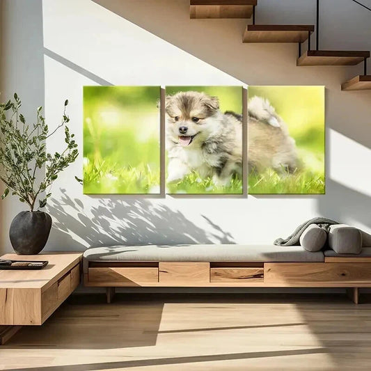 3pcs Brown Puppy on Green Grass Painting  Wall Art Set Canvas Framed 40x60cm - High Quality Print 100% Australian Made Wall Canvas Ready to Hang