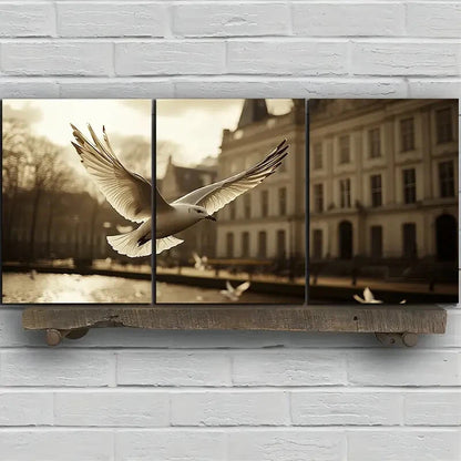 3pcs Pigeons on The Big Buildings Square Metal Print Ready to Hang Art