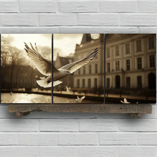 3pcs Pigeons on The Big Buildings Square Metal Print Ready to Hang Art