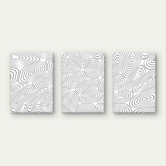 3pcs Black and White Topographic Minimalist Wall Art Set Canvas Framed 50x70cm - High Quality Print 100% Australian Made Wall Canvas Ready to Hang