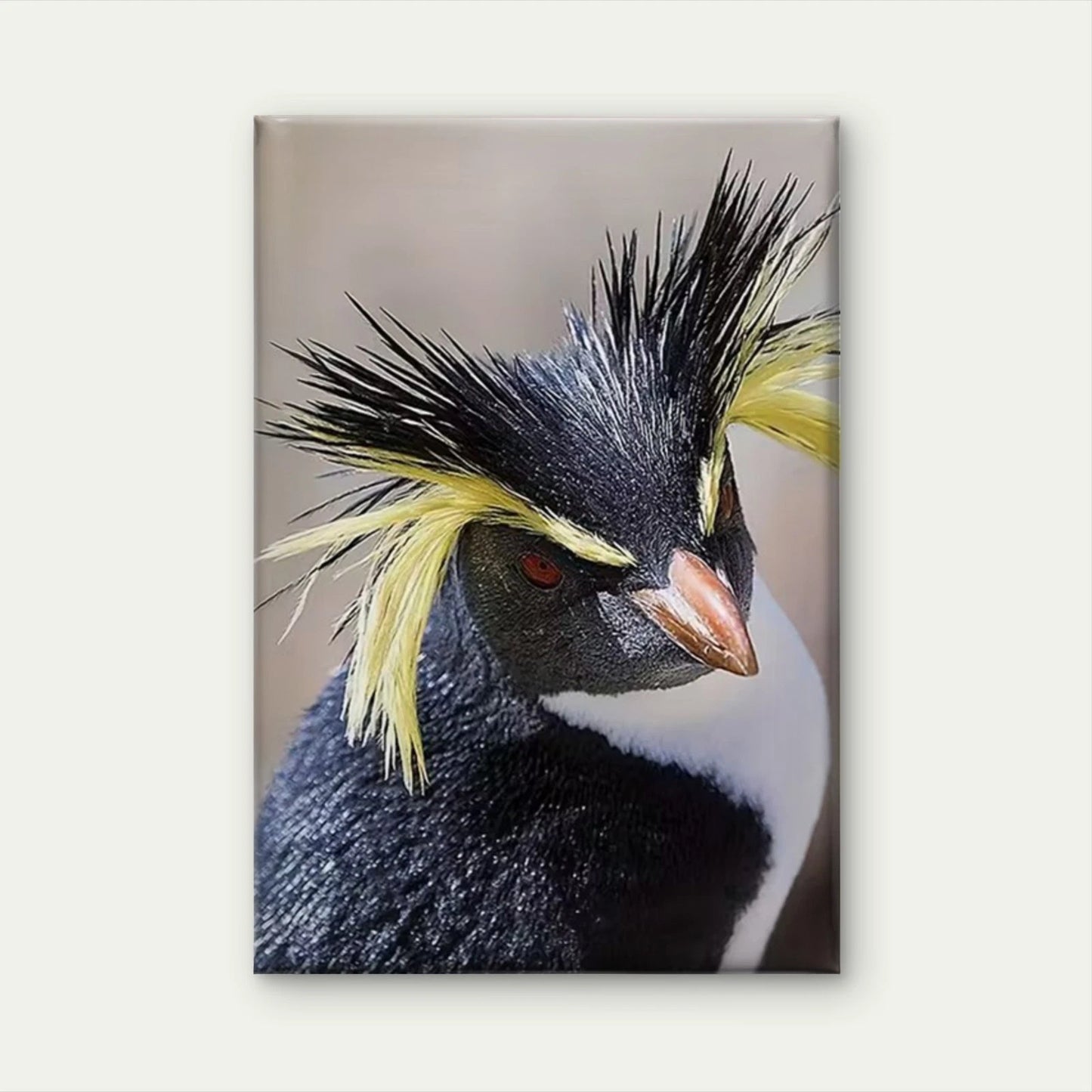 Distinctive Black & Yellow Spiky Feathers 60x90cm Metal Print Ready to Hang