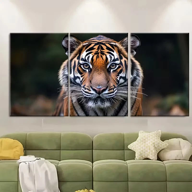 3pcs Wild Tiger Close Up Wildlife Photography Metal Print Ready to Hang Art