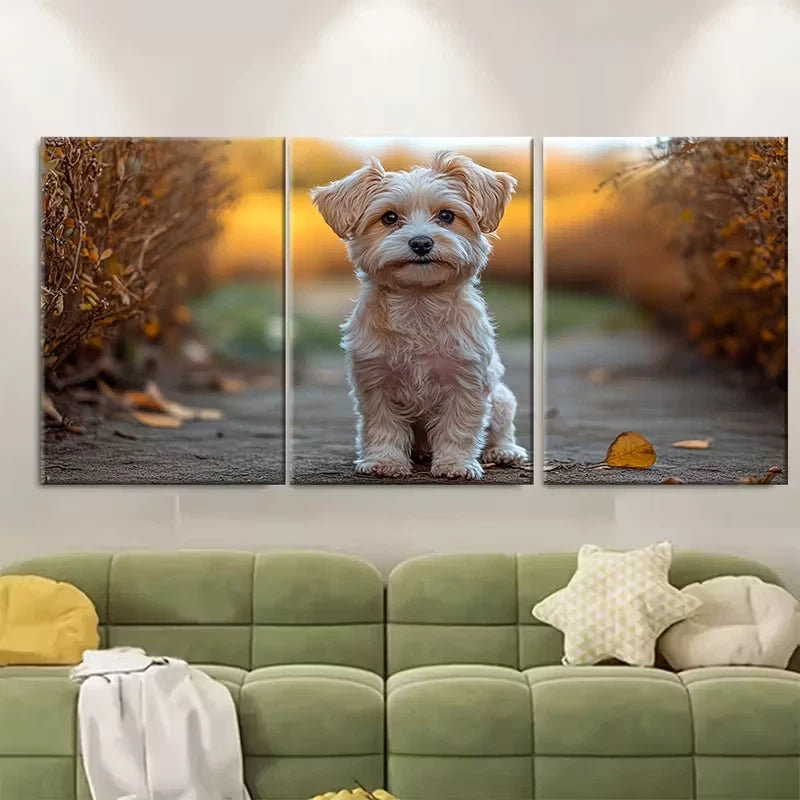 3pcs Curious Fluffy White Puppy Metal Print Ready to Hang Art