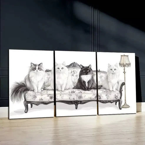 3pcs Black & White Cats Art Canvas Unframed - High Quality Print 100% Australian Made Wall Canvas