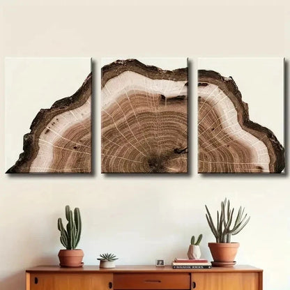 3pcs Tree Ring Decoration Décor Perfect Wall Art Set Canvas Framed 40x60cm - High Quality Print 100% Australian Made Wall Canvas Ready to Hang