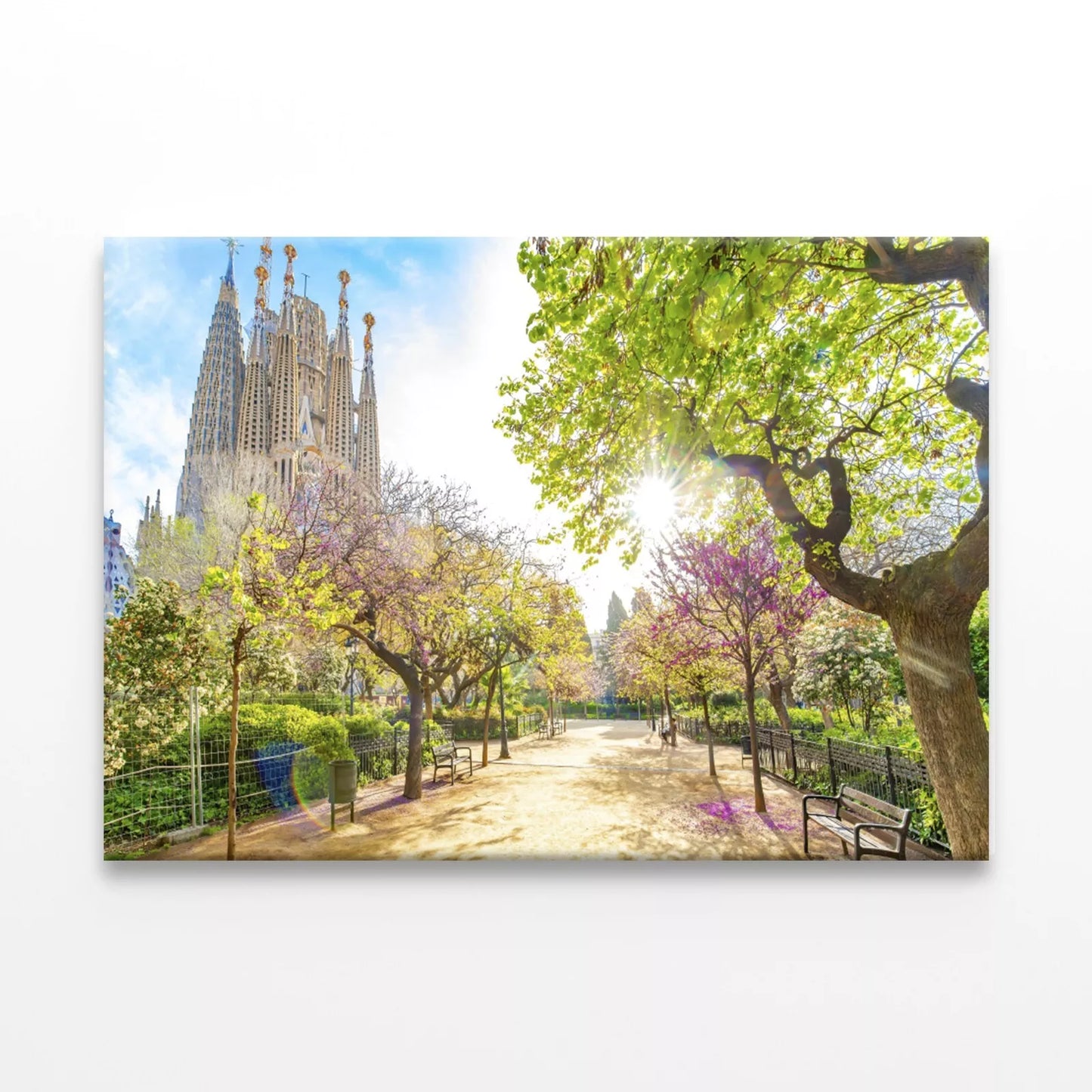 Blooming Spring Park In Barcelona Wall Art Decor 100% Australian Made