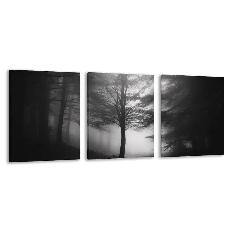 3pcs Black & White Forest Foggy Tree Landscape Wall Art Set Canvas Framed 50x70cm - High Quality Print 100% Australian Made Wall Canvas Ready to Hang