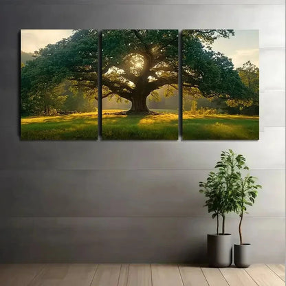 3pcs Oak Tree in Open Meadow Triptych Nature Scene Metal Print Ready to Hang Art