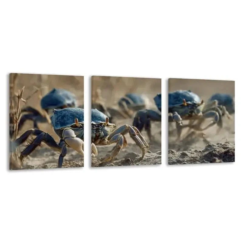 3pcs Group of Crabs Carrying Blue Shells   Wall Art Set Canvas Framed 60x90cm - High Quality Print 100% Australian Made Wall Canvas Ready to Hang