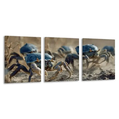 3pcs Group of Crabs Carrying Blue Shells   Wall Art Set Canvas Framed 60x90cm - High Quality Print 100% Australian Made Wall Canvas Ready to Hang