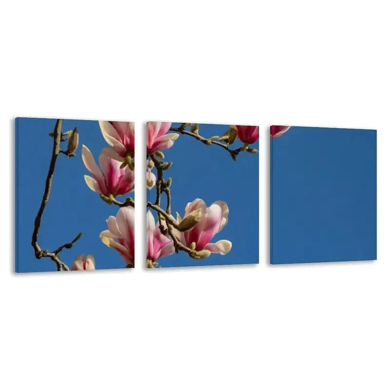 3pcs Pink & White Magnolia Branches on Blue Sky  Wall Art Set Canvas Framed 60x90cm - High Quality Print 100% Australian Made Wall Canvas Ready to Hang