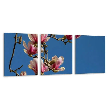 3pcs Pink & White Magnolia Branches on Blue Sky  Wall Art Set Canvas Framed 60x90cm - High Quality Print 100% Australian Made Wall Canvas Ready to Hang