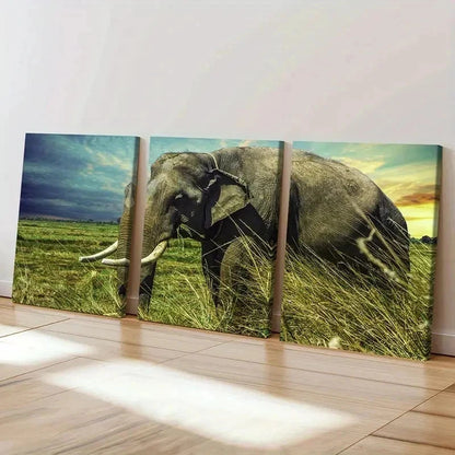 3pcs African Savanna Elephant Portrait Wall Art Set Canvas Framed 40x60cm - High Quality Print 100% Australian Made Wall Canvas Ready to Hang