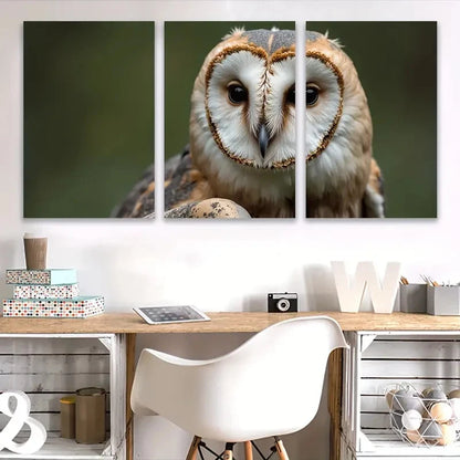 3pcs Owl Close-Up Spray Paint Vertical Decor Wall Art Set Canvas Framed 40x60cm - High Quality Print 100% Australian Made Wall Canvas Ready to Hang