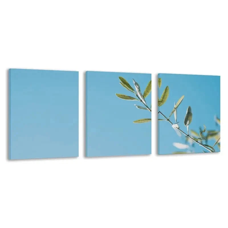 3pcs Olive Branch Against the Clear Blue Sky Wall Art Set Canvas Framed 50x70cm - High Quality Print 100% Australian Made Wall Canvas Ready to Hang