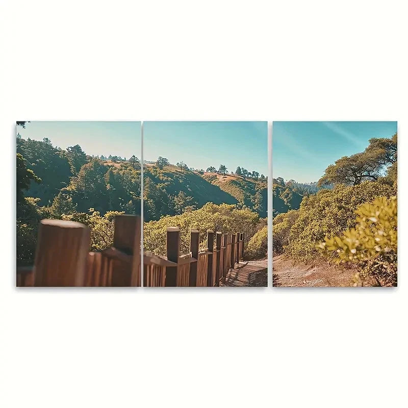 3pcs Muir Woods National Monument Travel Wall Art Set Canvas Framed 50x70cm - High Quality Print 100% Australian Made Wall Canvas Ready to Hang