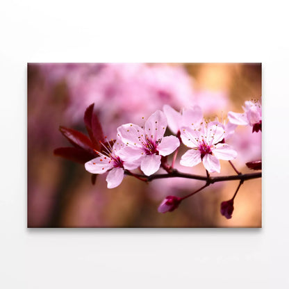 Peach Tree Branch With Blossom Wall Art Decor 100% Australian Made