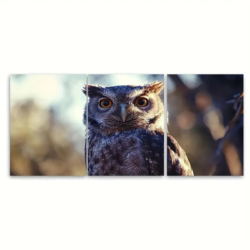 3pcs Owl of the National Park Travel Australia Wall Art Set Canvas Framed 40x60cm - High Quality Print 100% Australian Made Wall Canvas Ready to Hang