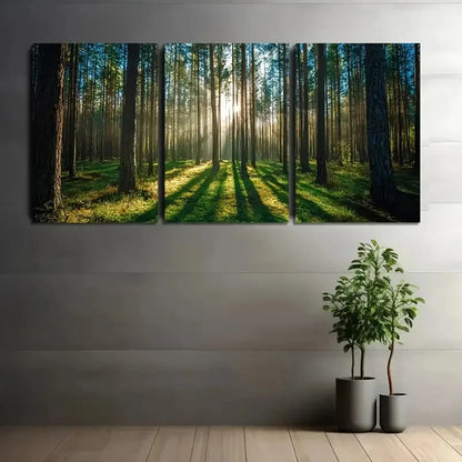 Three-panel canvas print of a forest scene with sunlight filtering through the trees, displayed on a wall.