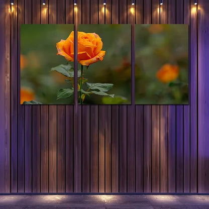 3pcs Vibrant Orange Roses in Full Bloom Wall Art Set Canvas Framed 60x90cm - High Quality Print 100% Australian Made Wall Canvas Ready to Hang
