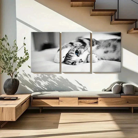 3pcs Pet Art Cute Cat Modern Decoration  Wall Art Set Canvas Framed 40x60cm - High Quality Print 100% Australian Made Wall Canvas Ready to Hang