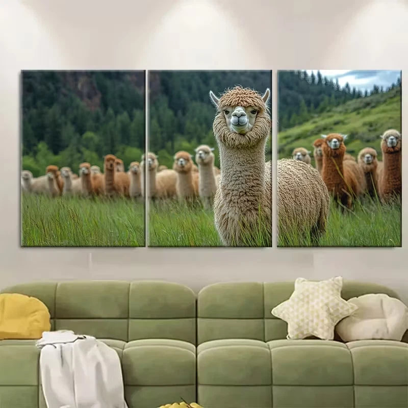 3pcs Huacaya Suri Alpaca Farm Metal Print Ready to Hang Art
