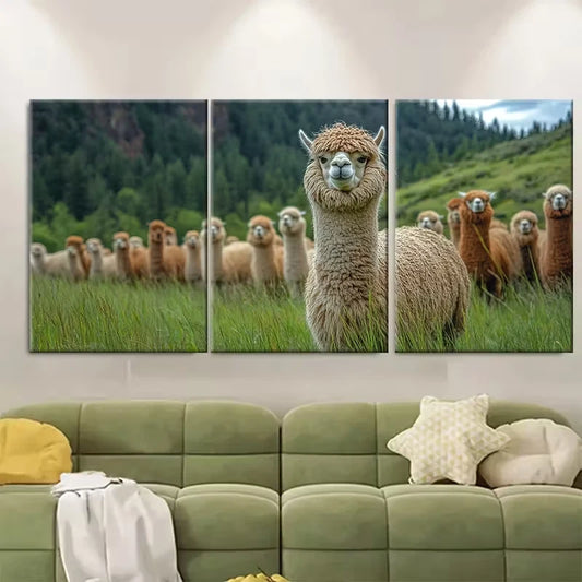 3pcs Huacaya Suri Alpaca Farm Metal Print Ready to Hang Art