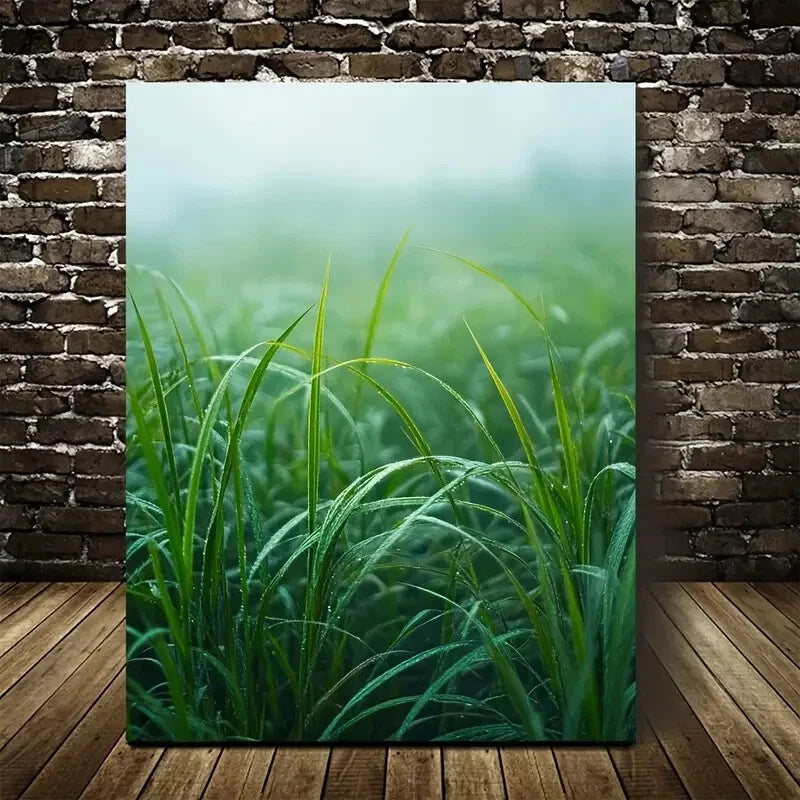 Serene Green Dogtail Grass Meadow Landscape 40x60cm Metal Print Ready to Hang